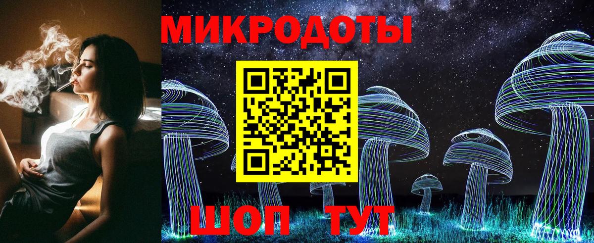 Галлюциногенные грибы Psilocybe Мончегорск