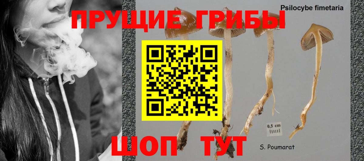 Псилоцибиновые грибы Cubensis  Галлюциногенные грибы Psilocybe  Мончегорск  Вход с VPN 